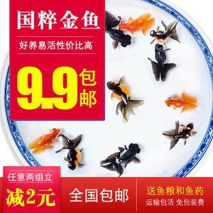 重慶金龍魚供貨商電話號碼，重慶金龍魚供貨商的電話號碼