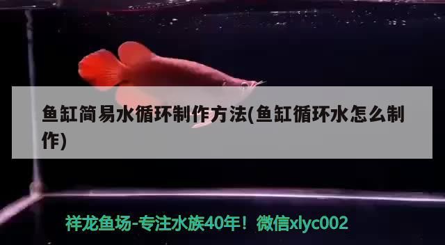 魚缸簡易水循環制作方法(魚缸循環水怎么制作)