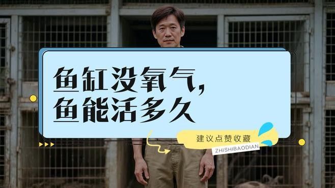龍魚(yú)浮頭多久會(huì)死？（龍魚(yú)浮頭時(shí)間過(guò)長(zhǎng)會(huì)對(duì)健康造成嚴(yán)重影響）