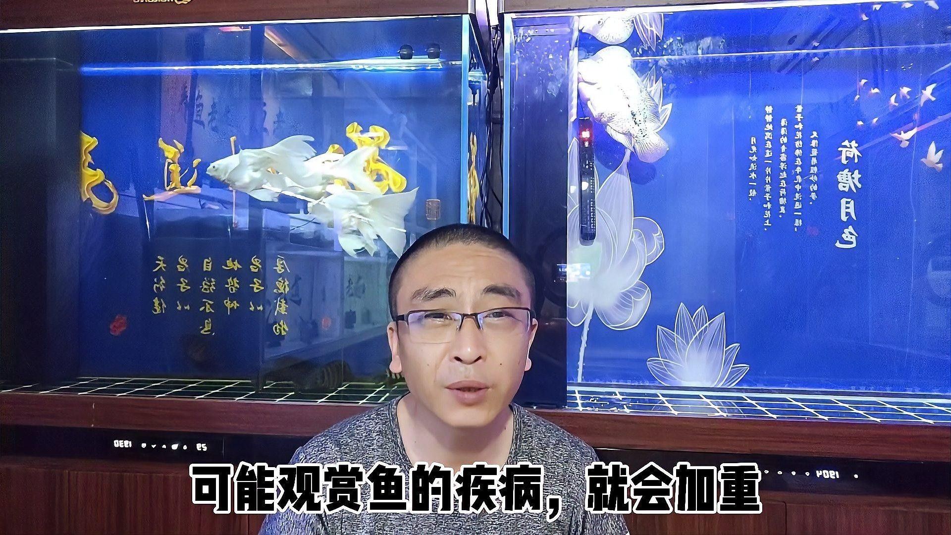 白子關刀魚最忌三種藥（白子關刀魚最忌的三種藥物）
