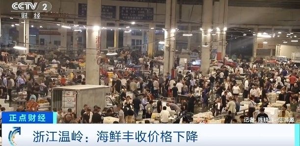 海龍魚的價格是多少（海龍魚價格是多少）