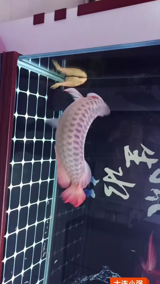 日常堅(jiān)果