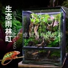 開心水族箱劍龍魚的價值如何（開心水族箱劍龍魚的價值主要體現在以下幾個方面）
