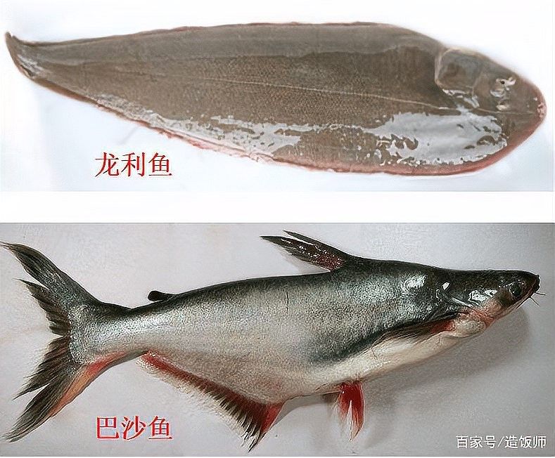 如何判斷龍利魚是否新鮮？