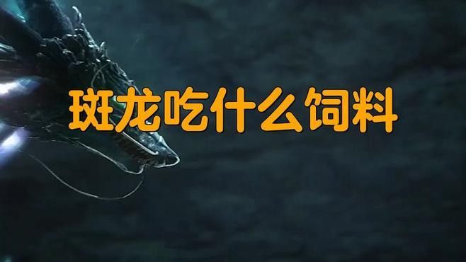 雷龍魚和虎斑恐龍的食物要求相同嗎（雷龍魚和虎斑恐龍的區別）