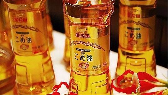 金龍魚在日本有生產(chǎn)基地嗎？（金龍魚在日本是否有生產(chǎn)基地，日本“米油熱”回歸）