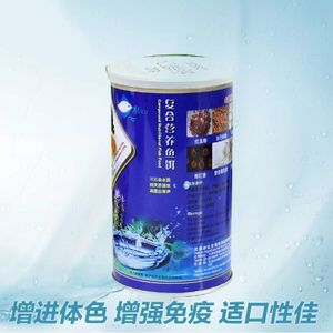 紅龍魚的飼養方法講解視頻教程全集圖片（如何飼養紅龍魚的教程教程全集）