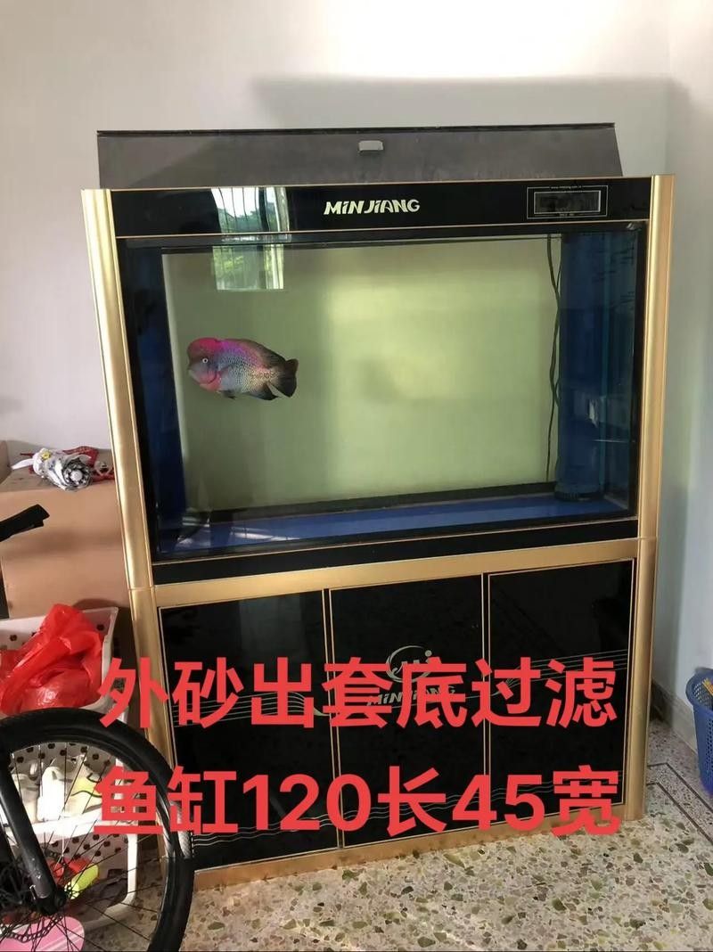 隔離缸底砂材質(zhì)有哪些推薦（隔離缸底砂材質(zhì)推薦）