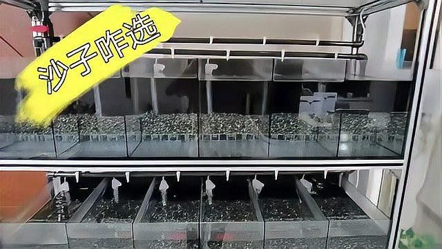 隔離缸底砂材質(zhì)有哪些推薦（隔離缸底砂材質(zhì)推薦）