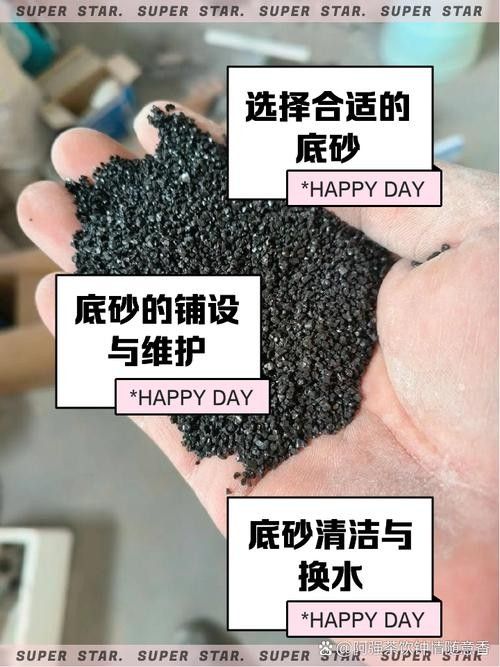 隔離缸底砂材質(zhì)有哪些推薦（隔離缸底砂材質(zhì)推薦）