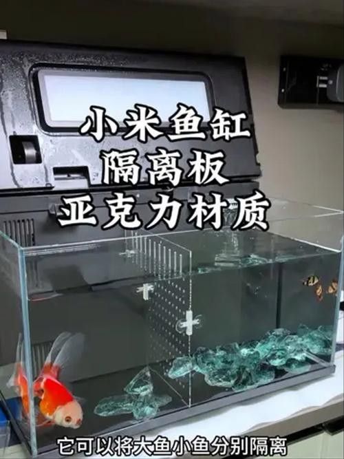 隔離缸底砂材質(zhì)有哪些推薦（隔離缸底砂材質(zhì)推薦）
