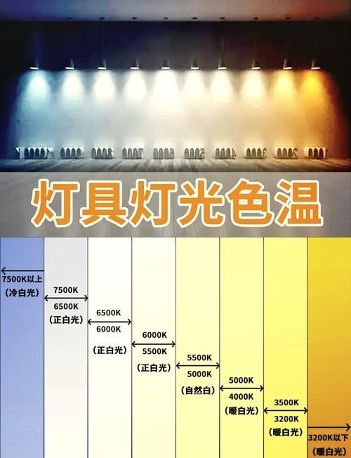 有沒有更多烤色燈推薦 有沒有更多烤色燈推薦 龍魚百科 第3張