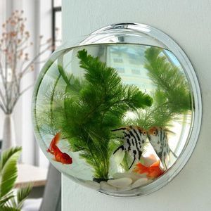 紅龍魚喂什么飼料好養活呢（喂食紅龍魚時應注意哪些事項，紅龍魚適合喂什么飼料）