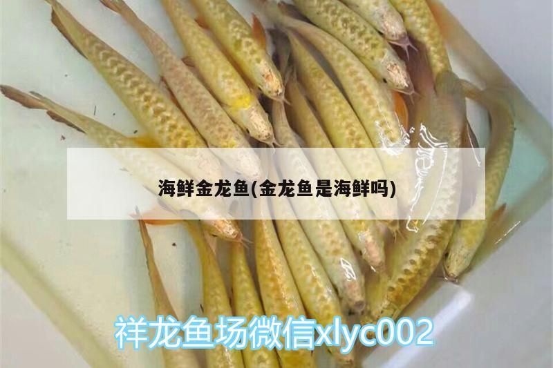 魚缸花費（關于魚缸的花費問題）