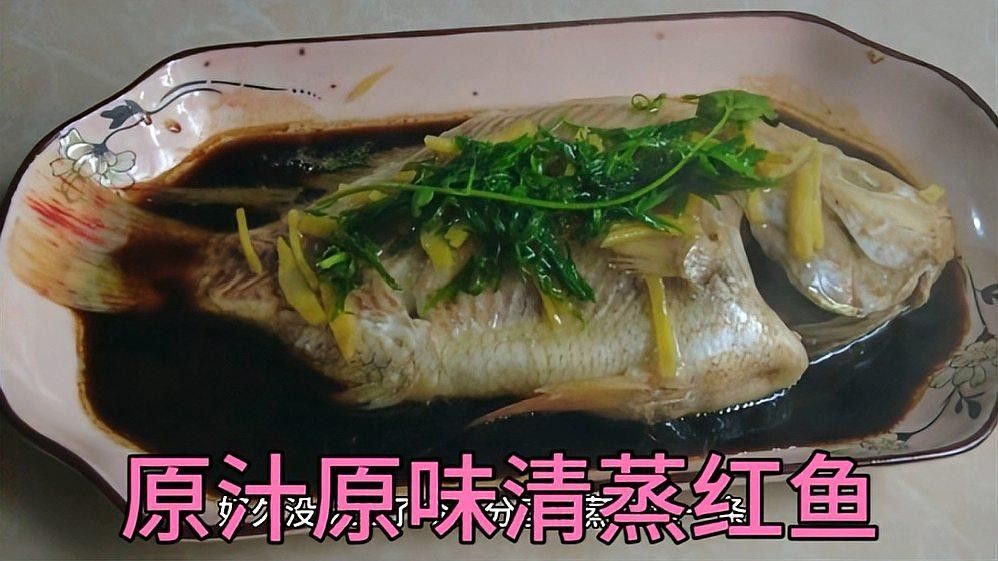 紅古龍魚(yú)的功效與作用（紅古龍魚(yú)有哪些功效？）