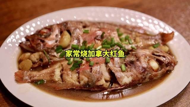 紅古龍魚(yú)的功效與作用（紅古龍魚(yú)有哪些功效？）