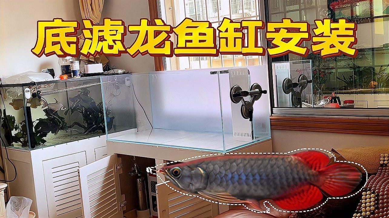 龍魚缸過濾材料更換步驟