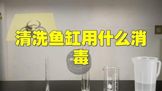 龍魚缸濾材清洗后如何消毒？（養魚說，魚缸濾材清洗不可觸碰的誤區） 龍魚缸濾材清洗后如何消毒？（養魚說，魚缸濾材清洗不可觸碰的誤區） 龍魚百科 第5張