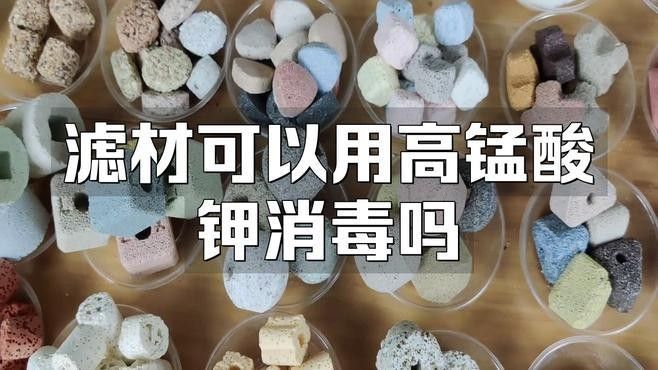 龍魚缸濾材清洗后如何消毒？（養魚說，魚缸濾材清洗不可觸碰的誤區） 龍魚缸濾材清洗后如何消毒？（養魚說，魚缸濾材清洗不可觸碰的誤區） 龍魚百科 第4張