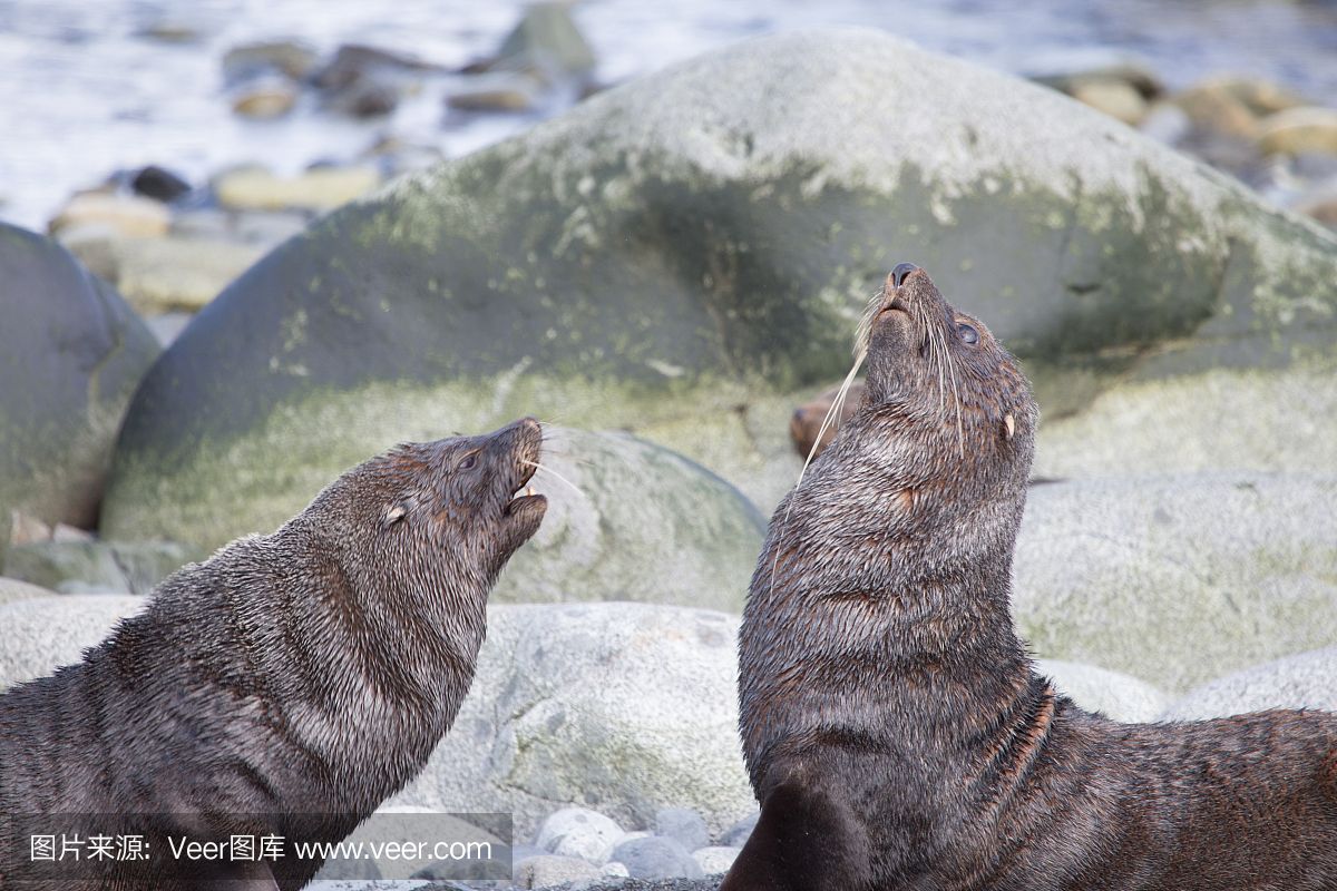 魚(yú)秀水族花卉館