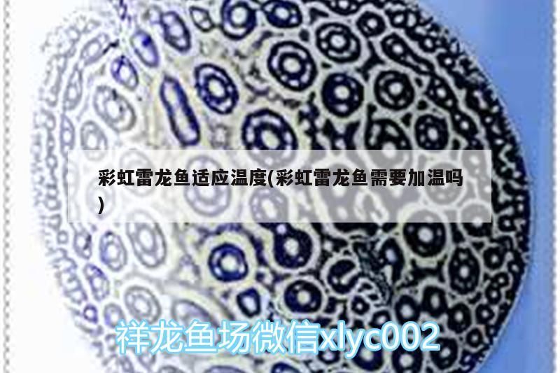 彩虹雷龍魚適應溫度(彩虹雷龍魚需要加溫嗎)（七彩雷龍魚飼養技巧）