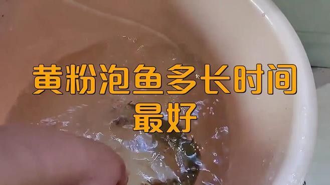 龍魚用黃粉后多久見效（魚用黃粉后見效的時(shí)間因個(gè)體差異、水質(zhì)條件、使用量等因素而異）