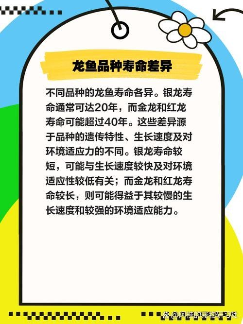 如何延長龍魚的家養(yǎng)壽命