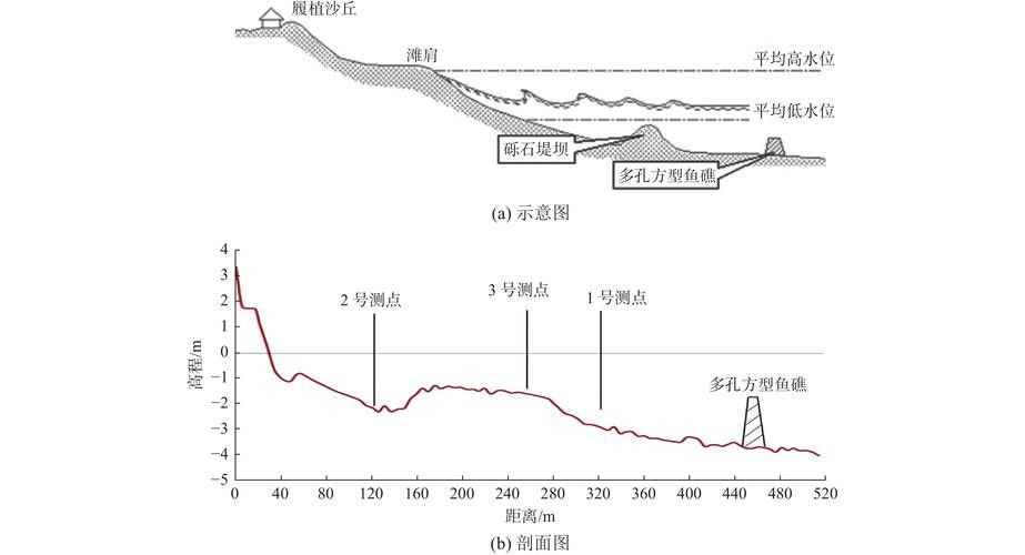 龍魚魚場如何選擇？（開個龍魚店需要多少錢創業機遇等你來抓）