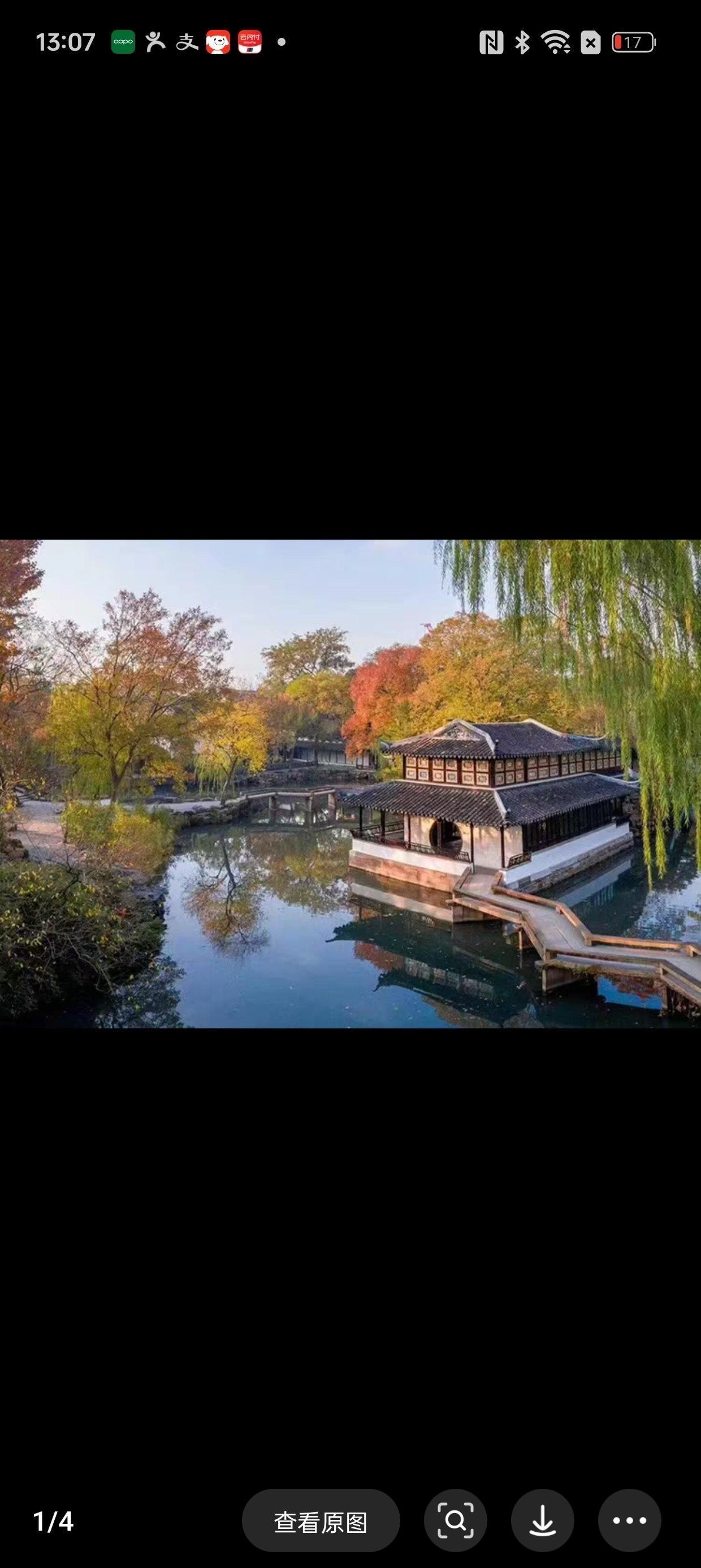 原州哪個(gè)水族館龍魚好？祥龍魚場(chǎng)龍魚（原州水族館——祥龍魚場(chǎng)）