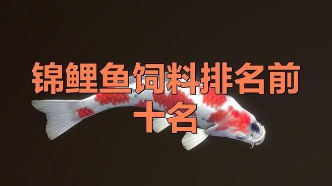 十大錦鯉魚飼料品牌（2025年十大錦鯉魚飼料品牌排行榜，海豚錦鯉魚飼料品牌排行榜）