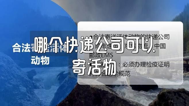 哪種快遞可以運輸雷龍魚活體？（運輸活體雷龍魚時選擇正確的快遞服務至關重要）