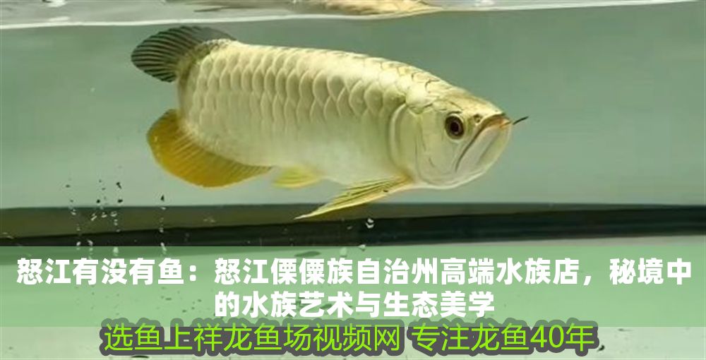 怒江有沒有魚：怒江傈僳族自治州高端水族店，秘境中的水族藝術(shù)與生態(tài)美學（怒江之畔的水族文化新地標）