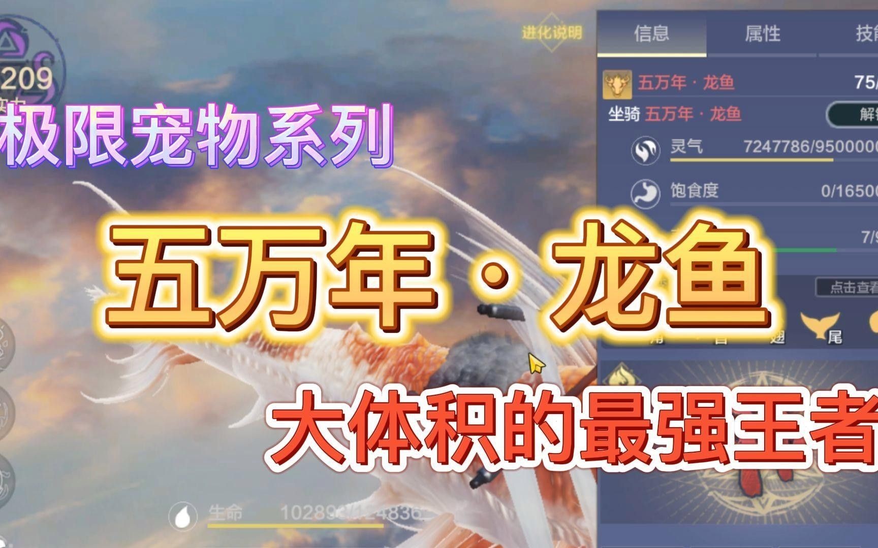 萬年龍魚（《妄想山?！啡f年龍魚是什么教輔小幫手萬年龍魚是什么）