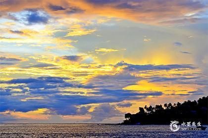 六角恐龍魚死了能救活嗎（六角恐龍魚死了能救活嗎視頻）（六角恐龍魚死了能救活嗎）