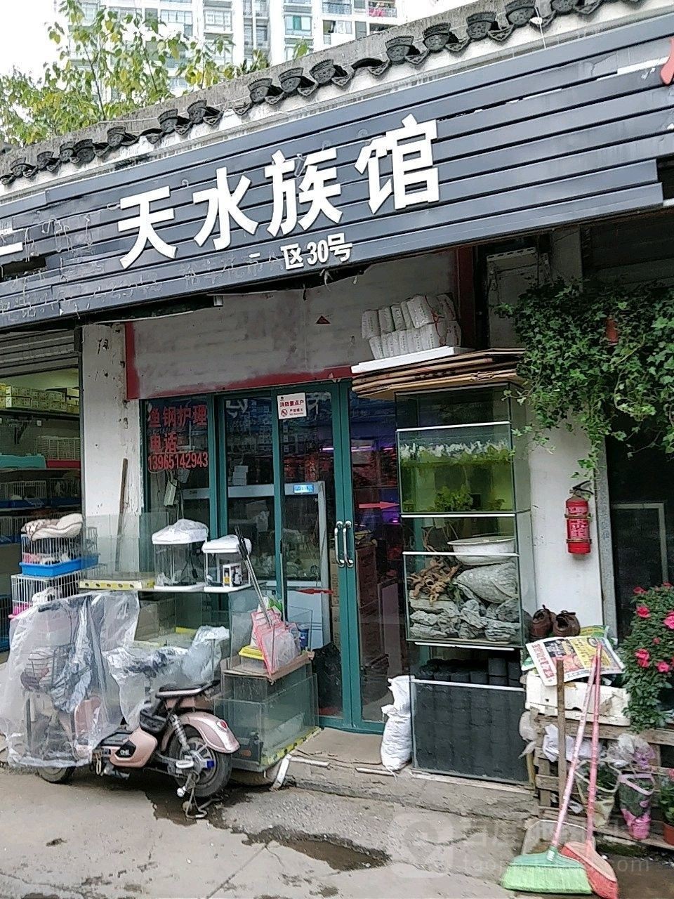 合肥哪個水族館龍魚好？祥龍魚場龍魚（合肥市祥龍魚場）