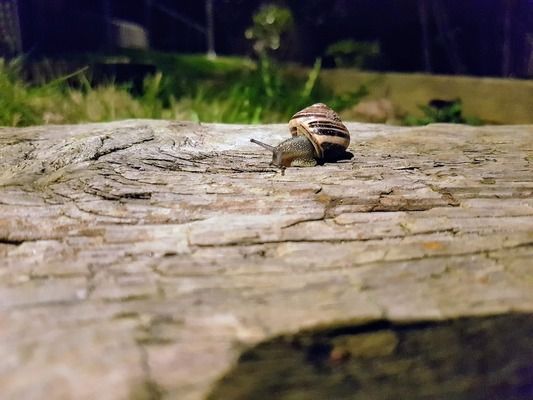 廣德賣魚缸在什么地方買的好（廣德賣魚缸在什么地方買的好呢）（廣德賣魚缸店鋪選擇廣德賣魚缸的店鋪品牌有哪些）