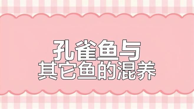 孔雀魚和哪種魚混養比較安全（孔雀魚與哪些魚混養比較安全）
