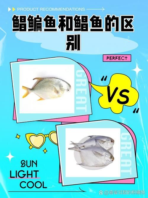 南雄龍魚的價格范圍（南雄龍魚價格如何？）