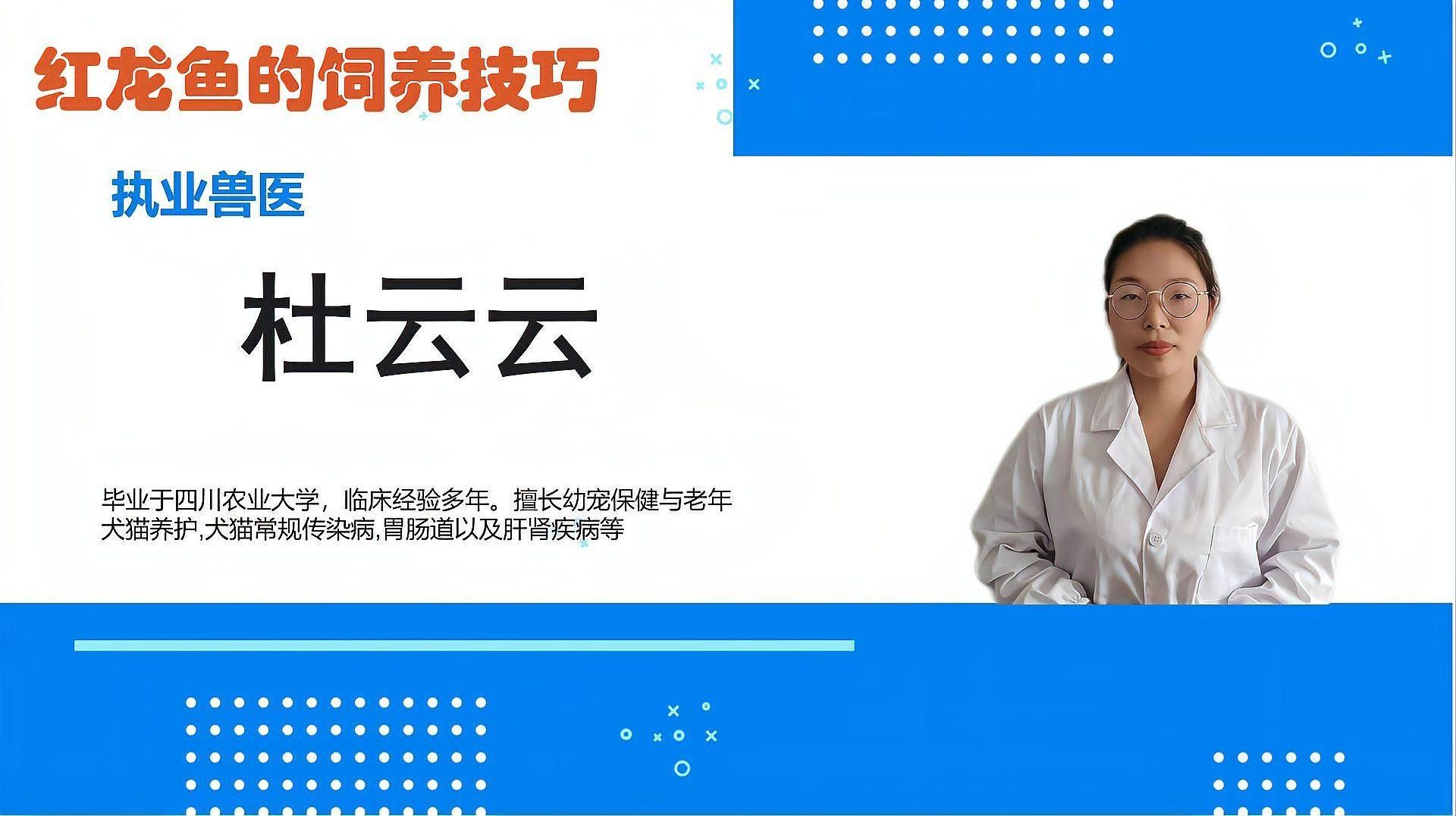 自然短身紅龍魚養(yǎng)殖難度大嗎？（短身紅龍魚養(yǎng)殖難度大嗎？）