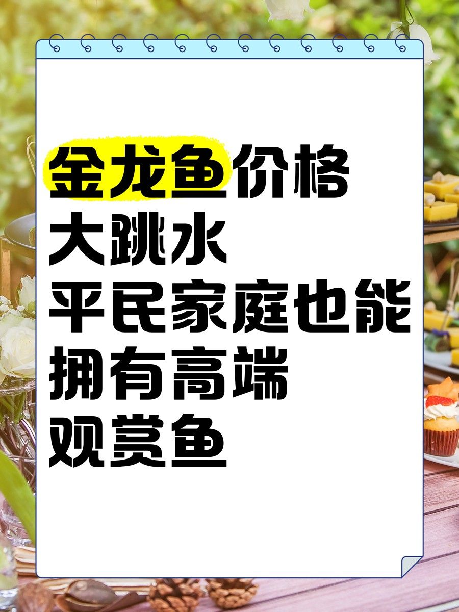 龍魚市場價格走勢如何（廣州龍魚祥龍魚價格大揭秘:從幾千到幾萬）