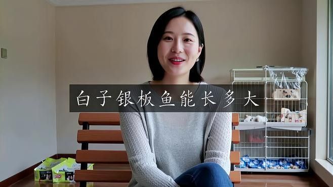 如何區(qū)分古典藍底高背金龍和其他金龍魚，古典藍底高背金龍魚如何判斷古典藍底高背金龍的品質