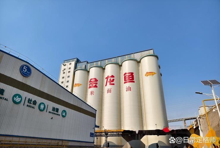 金龍魚的生產(chǎn)基地分布圖（金龍魚在江西的重要生產(chǎn)基地分布圖） 金龍魚的生產(chǎn)基地分布圖（金龍魚在江西的重要生產(chǎn)基地分布圖） 龍魚百科 第10張