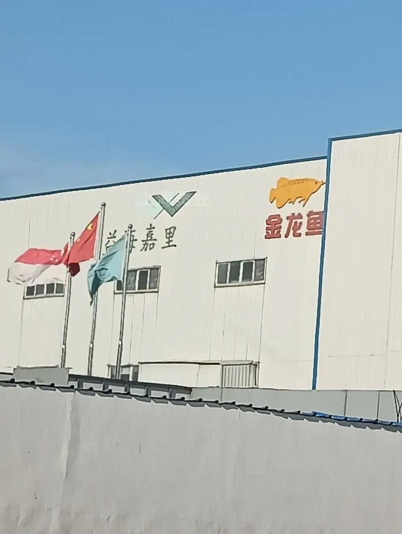 金龍魚的生產(chǎn)基地分布圖（金龍魚在江西的重要生產(chǎn)基地分布圖） 金龍魚的生產(chǎn)基地分布圖（金龍魚在江西的重要生產(chǎn)基地分布圖） 龍魚百科 第1張