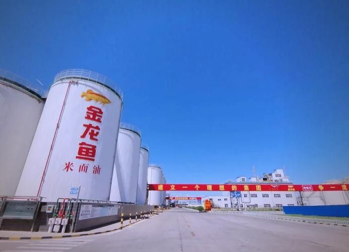 金龍魚的生產(chǎn)基地分布圖（金龍魚在江西的重要生產(chǎn)基地分布圖） 金龍魚的生產(chǎn)基地分布圖（金龍魚在江西的重要生產(chǎn)基地分布圖） 龍魚百科 第12張