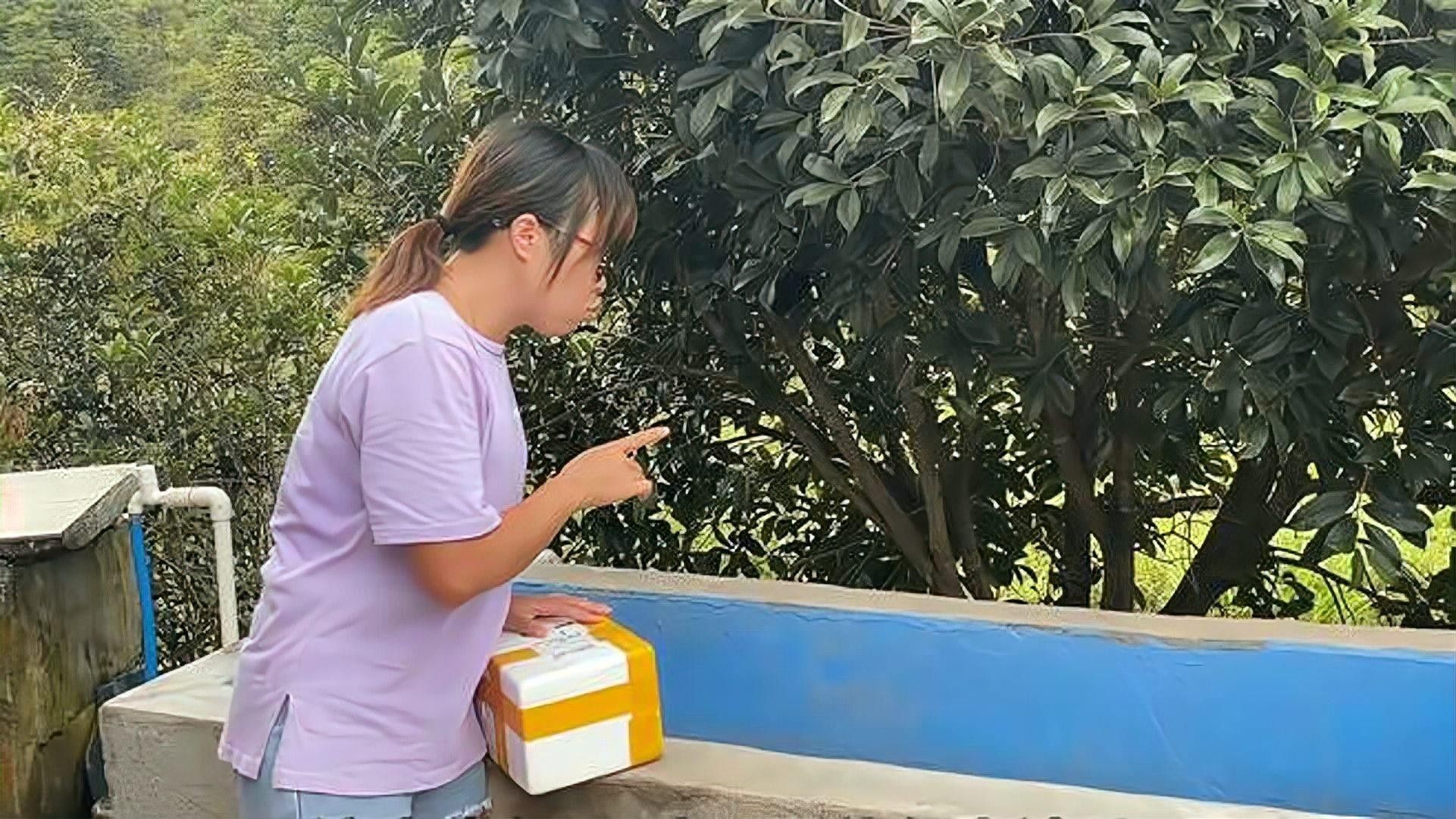 哪種工具魚清理糞便最有效（清理魚缸糞便最有效的工具及其特點）