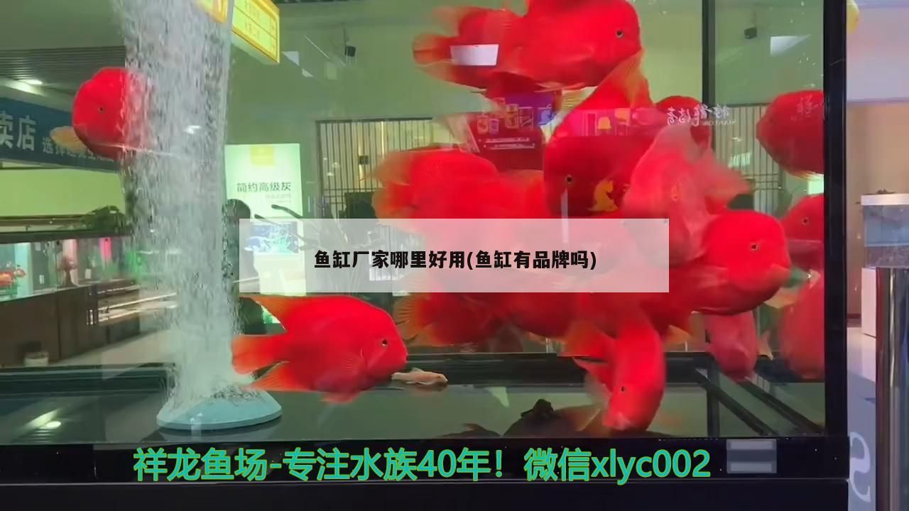 菏澤魚缸批發市場在哪里？，菏澤魚缸批發市場在哪里啊多少錢一斤
