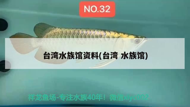 世界上最貴的血紅龍魚價(jià)格是多少(世界上最貴的血紅龍魚價(jià)格是多少錢一條)（世界上最貴的血紅龍魚價(jià)格是多少）