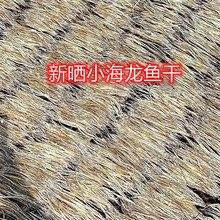 哪里可以找到高清的海龍魚圖片（如何獲取高清海龍魚圖片）
