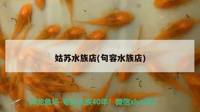 姑蘇水族店(<strong><mark>句容</mark></strong>水族店)（<strong><mark>句容</mark></strong>姑蘇水族店）