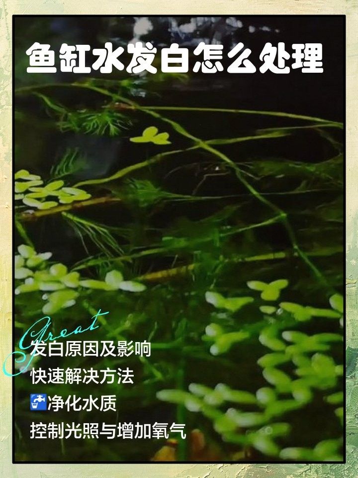 祥龍魚場提供的顆粒飼料有哪些配方？，**，祥龍魚場提供的顆粒飼料配方多樣